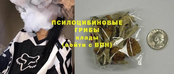 гашик Алексеевка