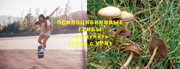 ALPHA-PVP Алексин