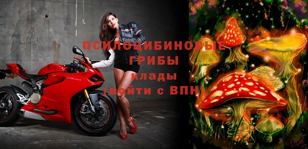 гашик Алексеевка