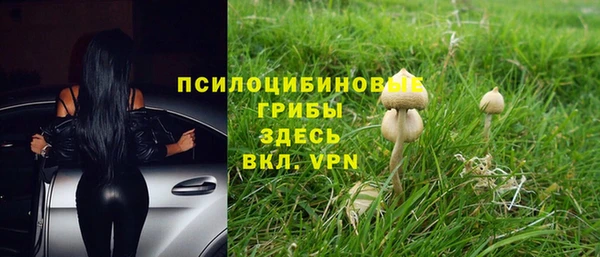 индика Алзамай