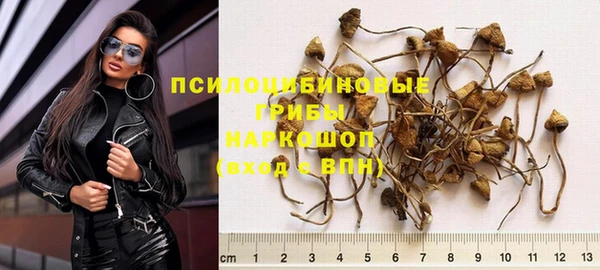 гашик Алексеевка