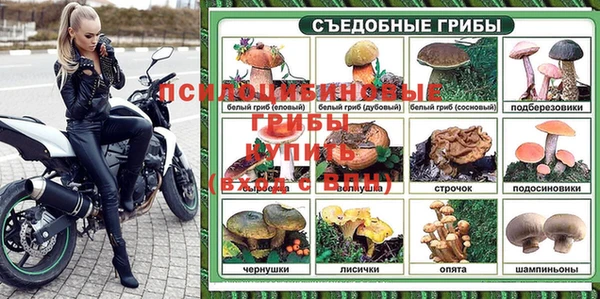 гашик Алексеевка