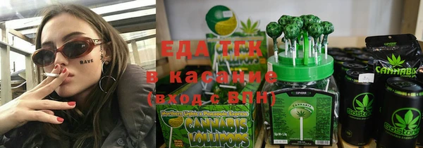 индика Алзамай