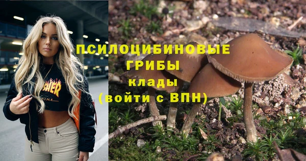 ALPHA-PVP Алексин