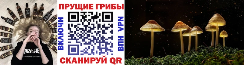 Галлюциногенные грибы MAGIC MUSHROOMS  где купить   ссылка на мегу ONION  Ревда 